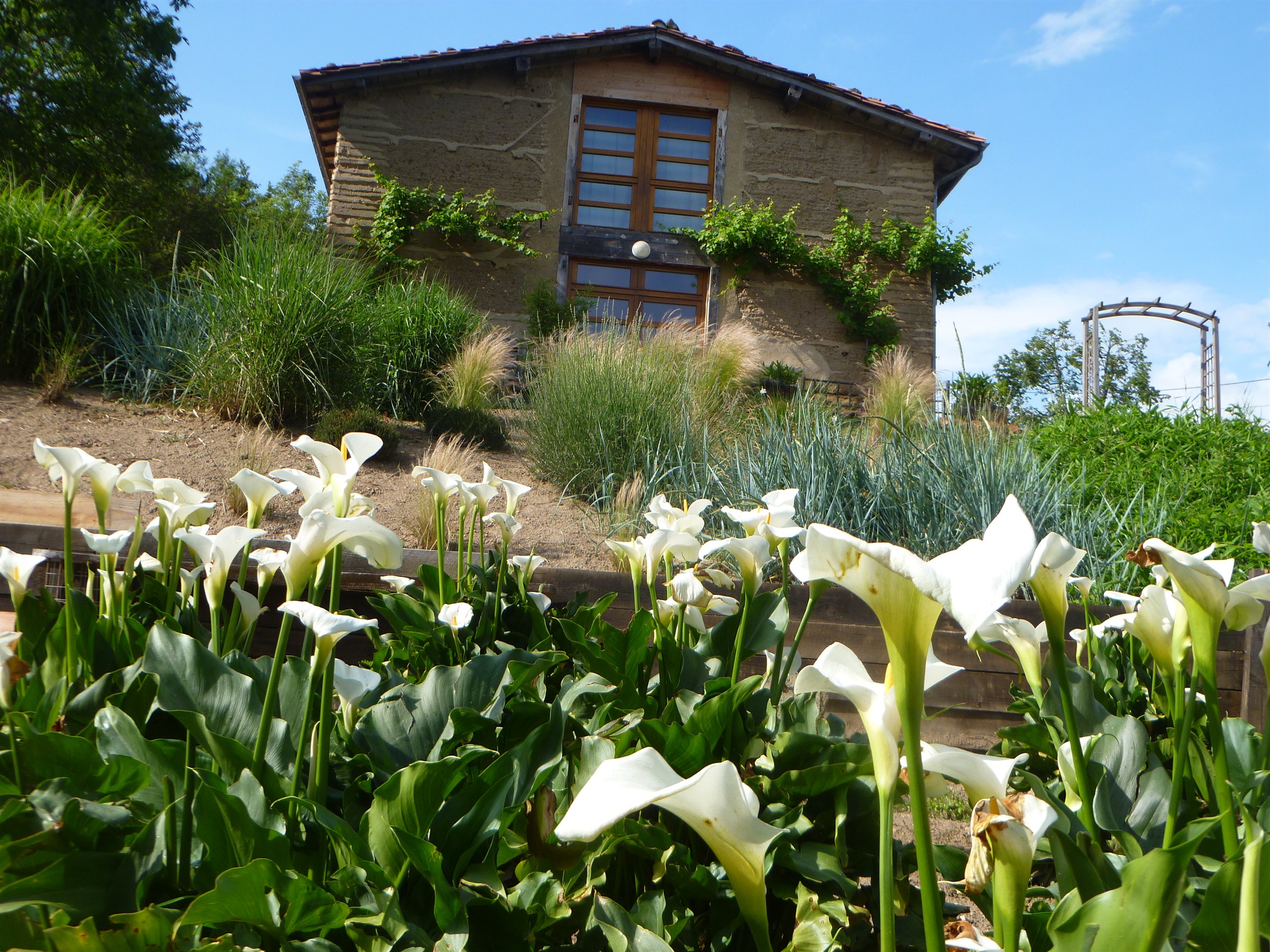 Le Gîte du Vert entouré de fleurs et de verdure