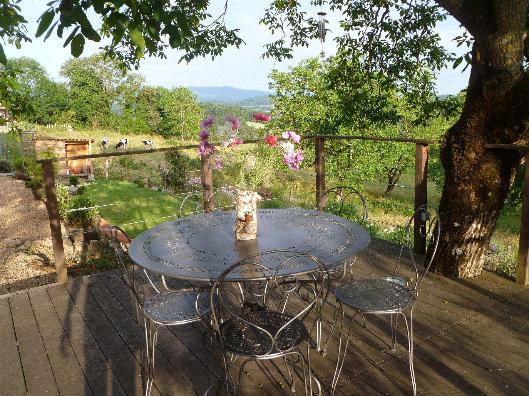 Terrasse sous les arbres
